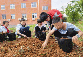 县实验小学东街校区组织学生试验种植太空种子