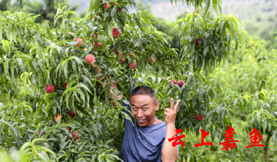 八万多斤“嘉”果香飘沈阳