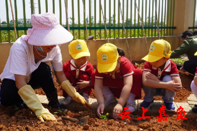 嘉鱼县樱花幼儿园：种植太空种子 感受航天魅力