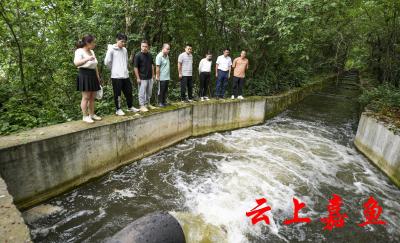 高铁岭镇：“好水知时节”