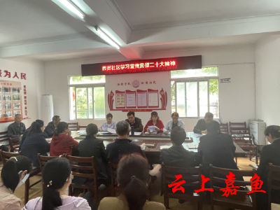 鱼岳镇西街社区：深入学习贯彻党的二十大精神