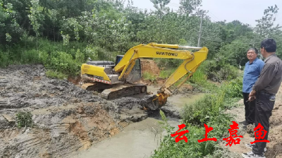 高铁岭镇广济堂村：提前谋划扎实推进沟渠水利建设