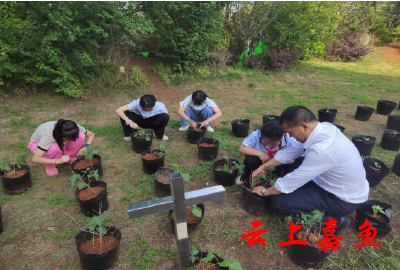 县实验小学东街校区开展劳动教育之“太空种子”种植管理实践活动