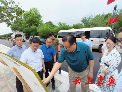 中国木雕艺术博物院院长、泰宁明清博物苑董事长陈明青一行来嘉考察