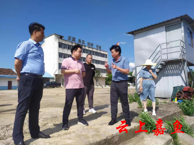 县领导开展大岩湖第二季度巡湖工作