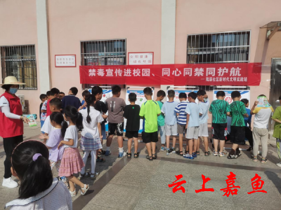 【文明嘉鱼】陆溪镇开展“禁毒宣传进校园、同心同禁同护航”主题活动