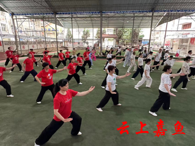 嘉鱼县太极拳剑协会组织开展后备人才培训