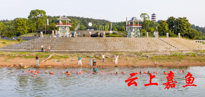 嘉鱼：童心未泯冬泳人 水中拔河展童心
