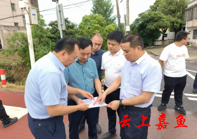 县领导调研国省干线安全设施精细化提升工作