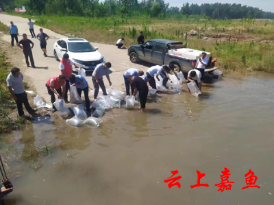 嘉鱼：1000多万尾“鱼宝宝”放流长江