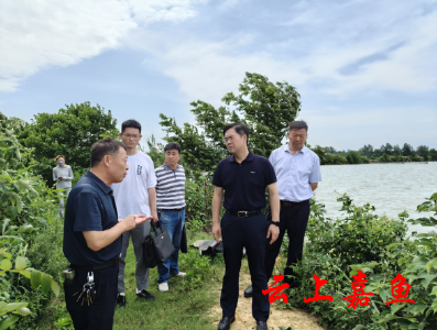 县领导开展蜜泉湖第二季度巡湖工作