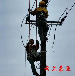 国网嘉鱼县供电公司开展绝缘杆带电作业