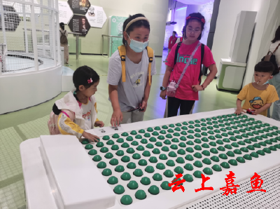 【文明嘉鱼】嘉鱼县科协开展“激发少年好奇心 走进科技梦工厂”科普活动