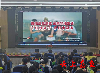 官桥镇：“防范非法集资和电信诈骗”普法宣传进校园