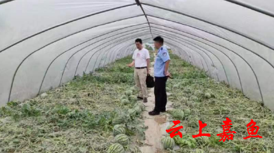 为泄私愤扯瓜藤 嘉鱼公安揪出毁农“黑”手