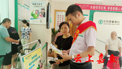 农行嘉鱼县支行积极开展存款保险主题宣传活动