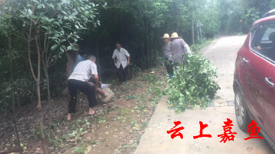 高铁岭镇新庄村：多方齐力共建美丽新家园