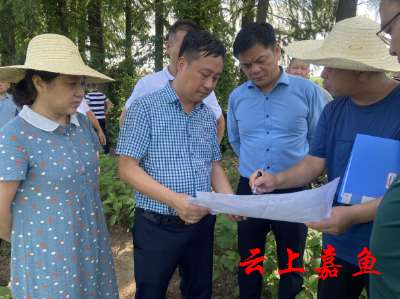 县领导调研文明城市创建、老旧小区改造、城市排水防涝工作