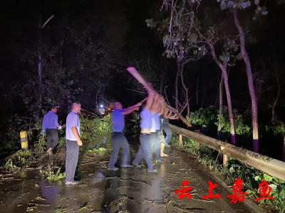 大树挡路交通受阻嘉鱼民警深夜清理保畅通