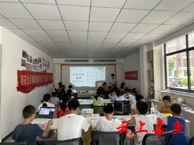 武汉科技大学“赤诚铸志”团队在鱼岳镇樱花社区开展支教活动