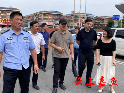 省医疗机构“三全行动”工作检查组来嘉鱼检查