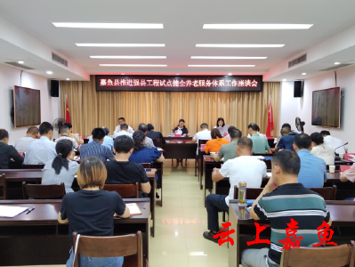 我县召开推进强县工程试点健全养老服务体系工作座谈会  