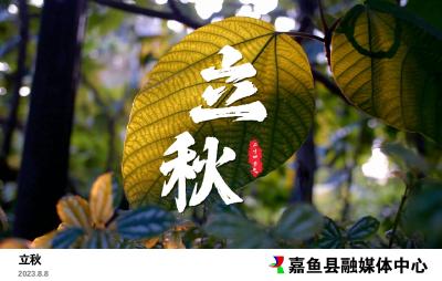【主播说节气】二十四节气之立秋