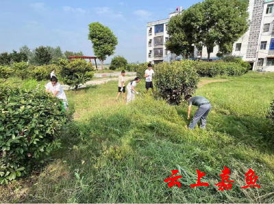 渡普镇卫生院开展“清除杂草，美化环境”环境整治活动