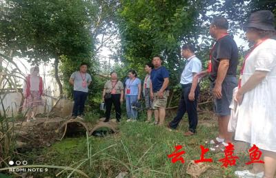 鱼岳镇人大：治理人居环境共建美好家园
