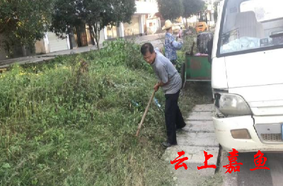 【文明嘉鱼】官桥镇舒桥社区：清除杂草 美化家园