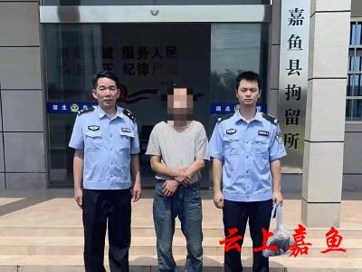 嘉鱼一男子盗窃电缆被抓 现场缴获被盗电缆线36米