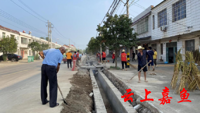 新街镇王家月村：宜居宜业和美乡村在行动共同缔造一张蓝图绘到底