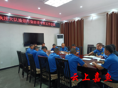 县城市管理执法局多措并举加强城区油烟污染治理