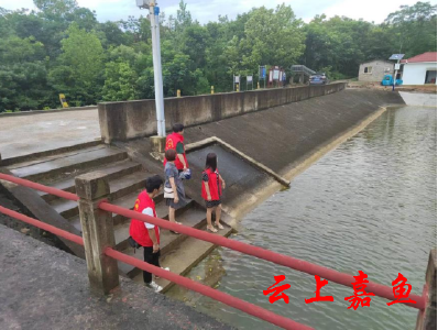 高铁岭镇陆水村开展水库安全检查