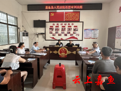 簰洲湾人民法庭：巡回审判进村湾一案阐述法理情
