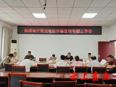 陆溪镇开展反电信诈骗宣传专题工作会