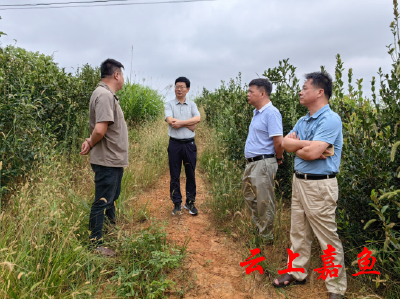 县领导赴高铁岭镇开展下基层察民情解民忧暖民心实践活动解决群众急难愁盼问题