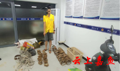 垃圾堆下的秘密！嘉鱼警方打掉一涉野生动物犯罪链条