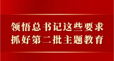 领悟总书记这些要求，抓好第二批主题教育