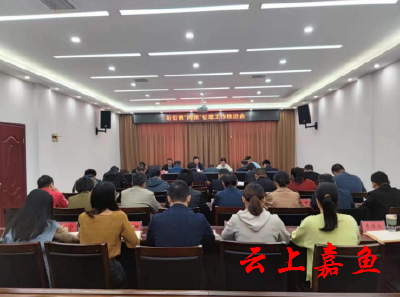 新街镇召开“两保”征缴工作推进会