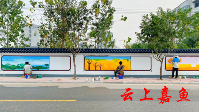 新街镇王家月村：多彩墙绘“扮靓”和美乡村