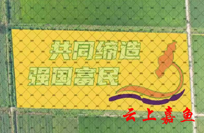 嘉鱼县首幅“油菜画”在陆溪镇播种