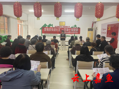 鱼岳镇三湖社区：禁毒宣传保一方净土