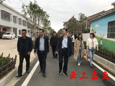 县领导深入新街镇三畈村调研指导巩固拓展脱贫攻坚成果同乡村振兴有效衔接工作