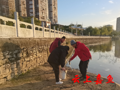 【文明嘉鱼】嘉鱼冬泳人：用实际行动守护母亲湖