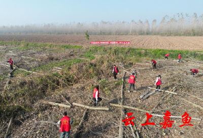 严守耕地红线 共护粮食安全 簰洲湾镇持续推进耕地保护工作