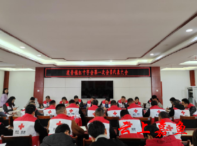 渡普镇红十字会第一次会员代表大会召开