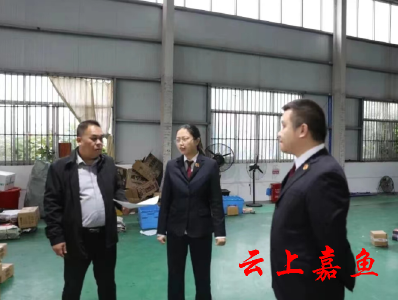 快递“小”包裹 检察“大”保护——嘉鱼县检察院推动落实“七号检察建议”