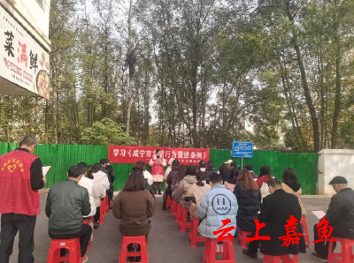 【全民学条例 文明我践行】鱼岳镇小湖社区：学习文明条例树立文明新风