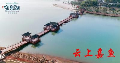 景区里“藏”医院 医院里办康养 嘉鱼努力实现医疗+旅游+康养跨界融合